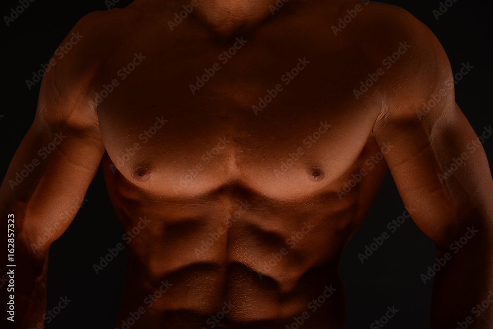 Fitness torso Fitness torso