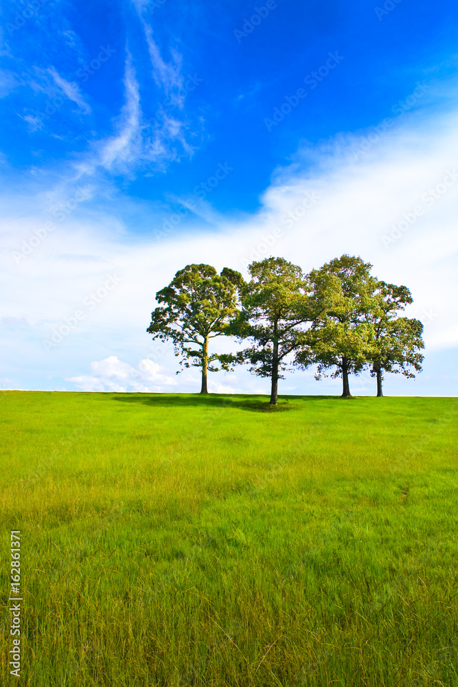 Obraz premium Hills in Mississippi with summer thunderstorms approaching