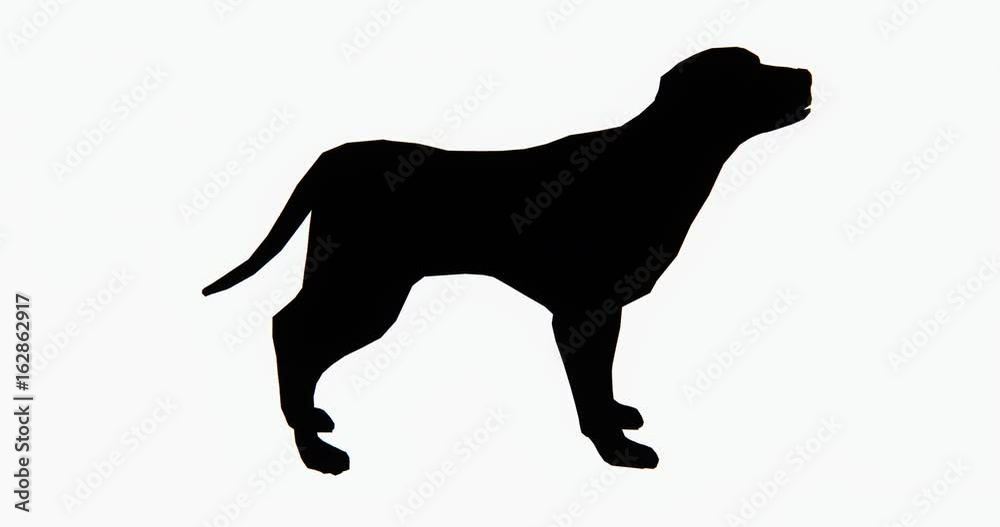 4k dog,3d cartoon,lovely pet,animal silhouette. 4k dog,3d cartoon,lovely pet,animal silhouette.