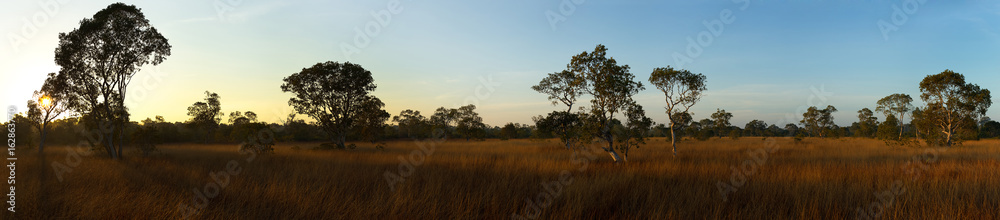 Biome Savanna sunset time with Panoramic scene at Tropical Deciduous Forest. Koh Pratong Marine Nationalpark. Phangnga Province. Thailand