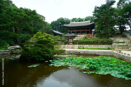 창덕궁 후원 (Changdeokgung Secret Garden)