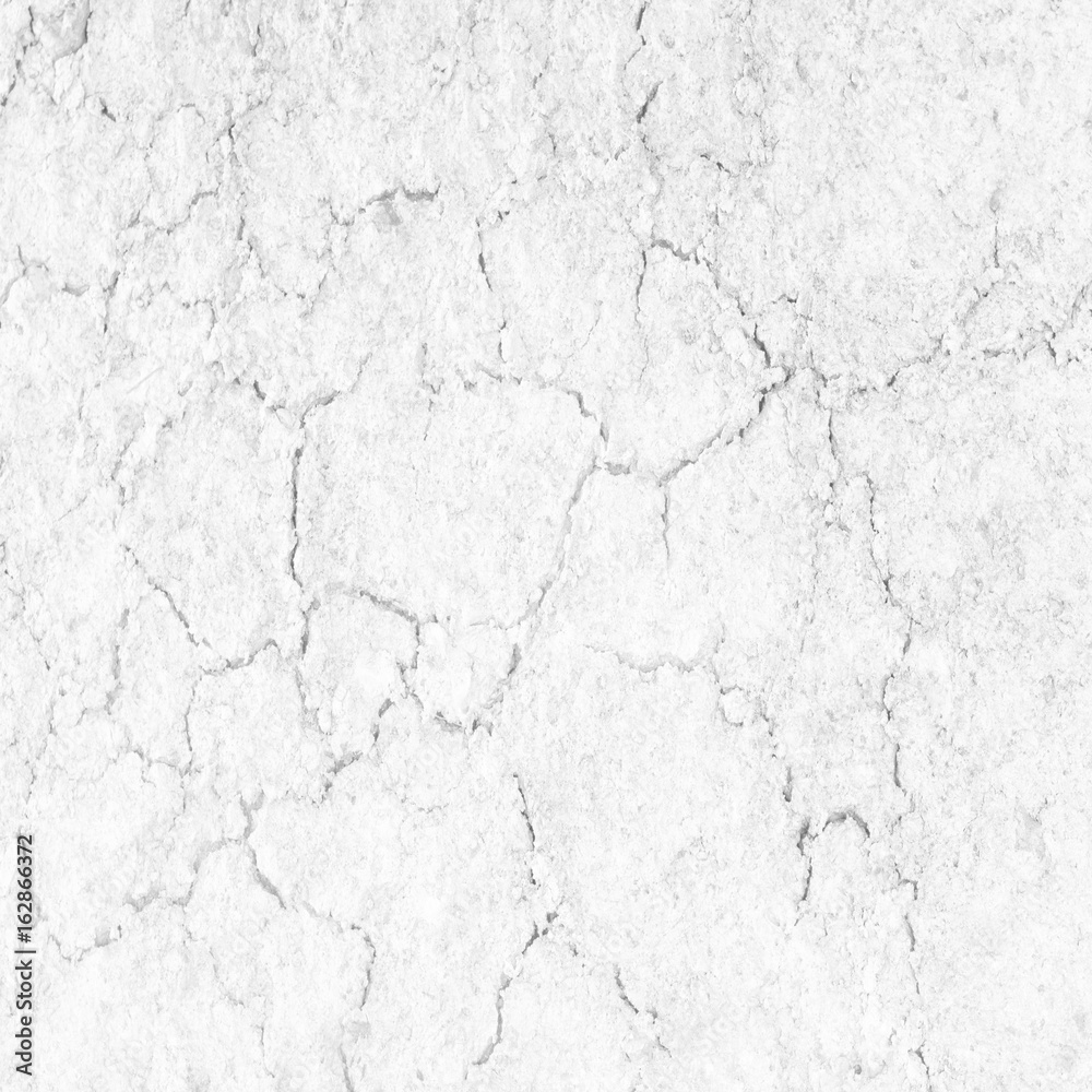 Obraz premium Soil cracks texture white background for design.