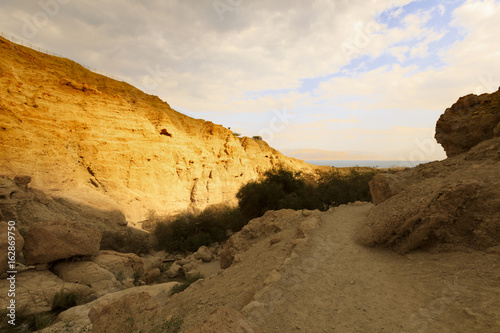 Ein Gedi Nature Reserve.