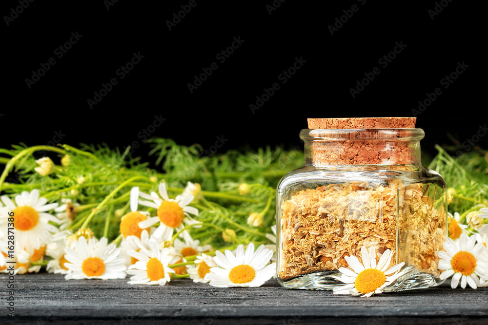 Chamomile Chamomile