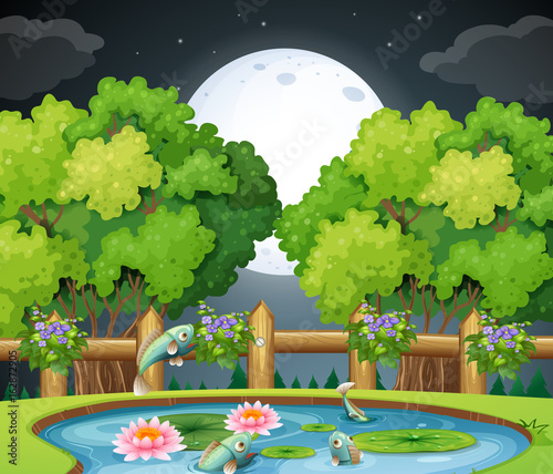 Fish in the pond at nighttime