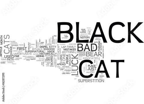 A BLACK CAT IS JUST A CAT TEXT WORD CLOUD CONCEPT