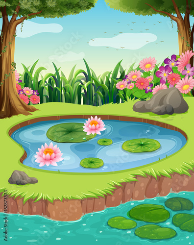 Little pond by the river in the forest