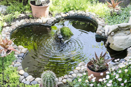 Garden pond with fountain