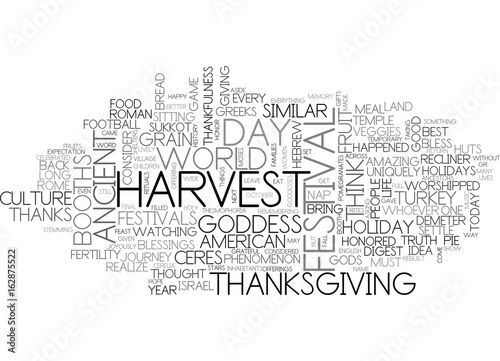 Fotografie A HISTORY OF THANKS TEXT WORD CLOUD CONCEPT
