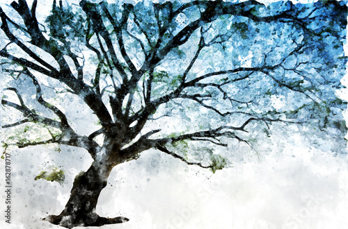Obraz na płótnie Drzewo, które ma wiele oddziałów, malowanie na białym tle
