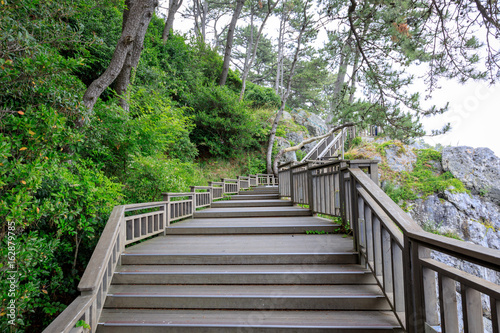 Dongbaekseom Island of Camellias  coast walkway in Busan  South Korea - tour destination