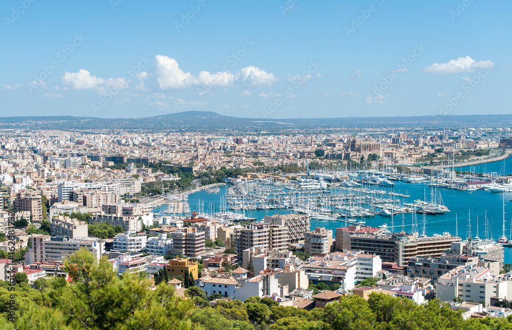 The port in Palma de Mallorca The port in Palma de Mallorca