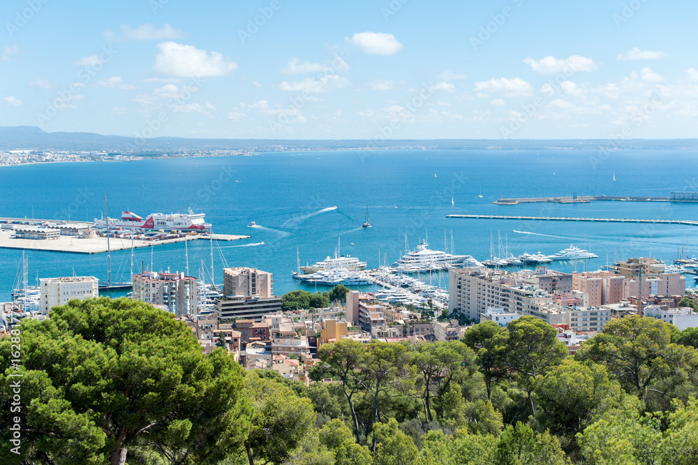 Naklejka premium The port in Palma de Mallorca