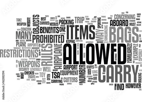 AIR TRAVEL WHAT YOU CAN AND CANNOT CARRY ON A PLANE TEXT WORD CLOUD CONCEPT