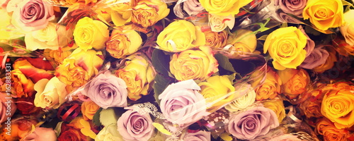 assorted rose flowers closeup  various colors  suitable for header or banner  lomography  toned in vintage colors