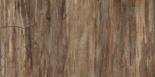 Natural wood texture and surface background