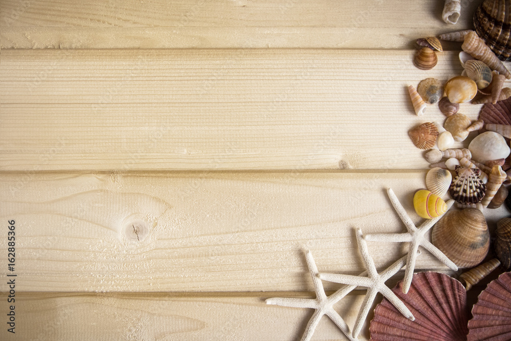 Bright wooden baackground with a collection of sea shells at the side, yellow, pink, white and broun shells of different forms and sizes and white starfish. Abstract composition of summer vacation. Bright wooden baackground with a collection of sea shells at the side, yellow, pink, white and broun shells of different forms and sizes and white starfish. Abstract composition of summer vacation.