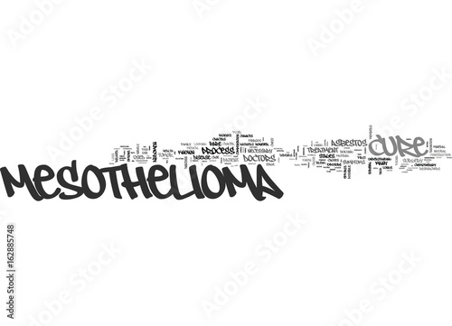 AN INSIGHT INTO HOMEOWNER S INSURANCE TEXT WORD CLOUD CONCEPT