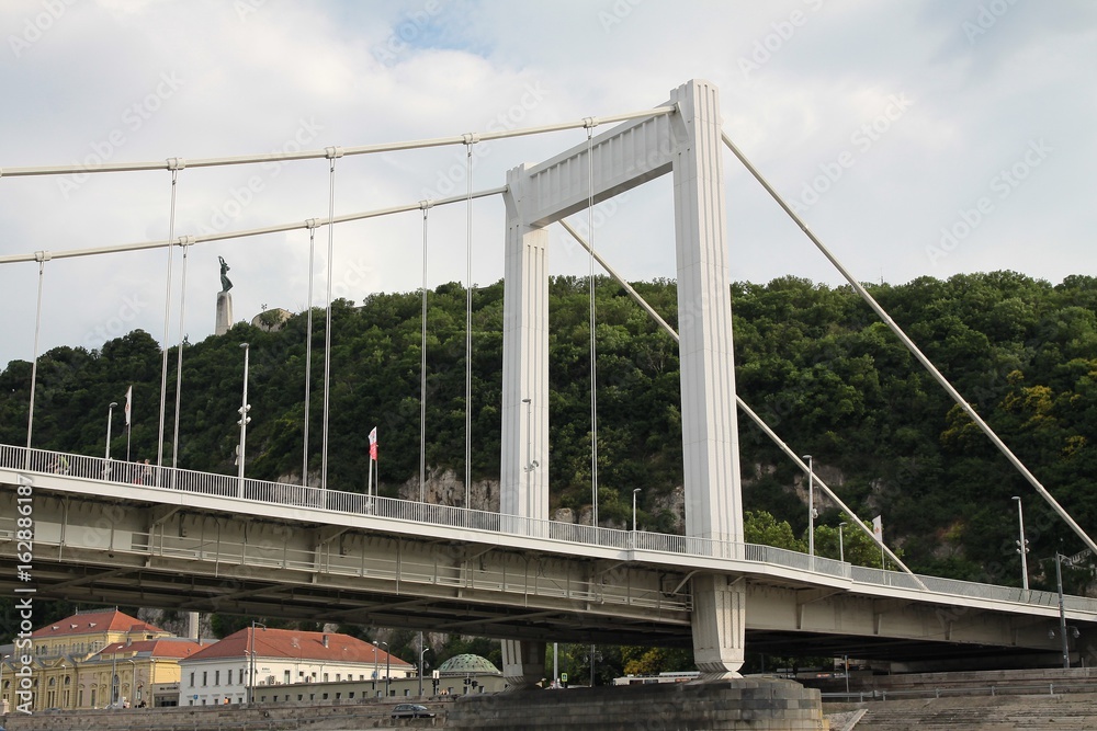 Fototapeta premium Gellert hill with Liberty Statue and Elizabeth' bridge in Budapest