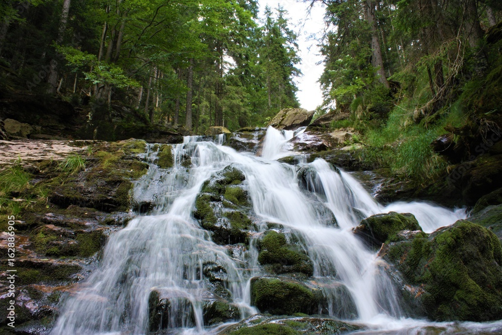 Rißlochfälle