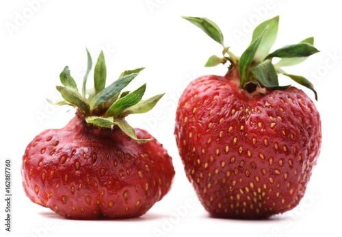 Pair of imperfect organic heirloom strawberries isolated photo