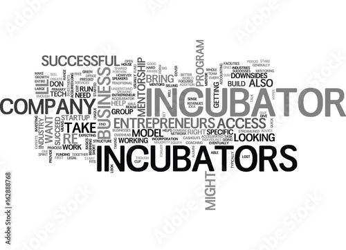 ARE STARTUP INCUBATORS RIGHT FOR YOU TEXT WORD CLOUD CONCEPT
