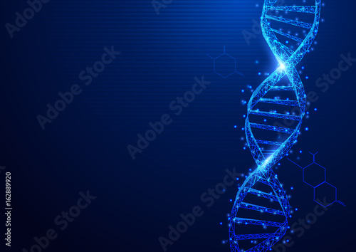 Wireframe DNA molecules structure mesh from a starry on blue background. Science and Technology concept photo