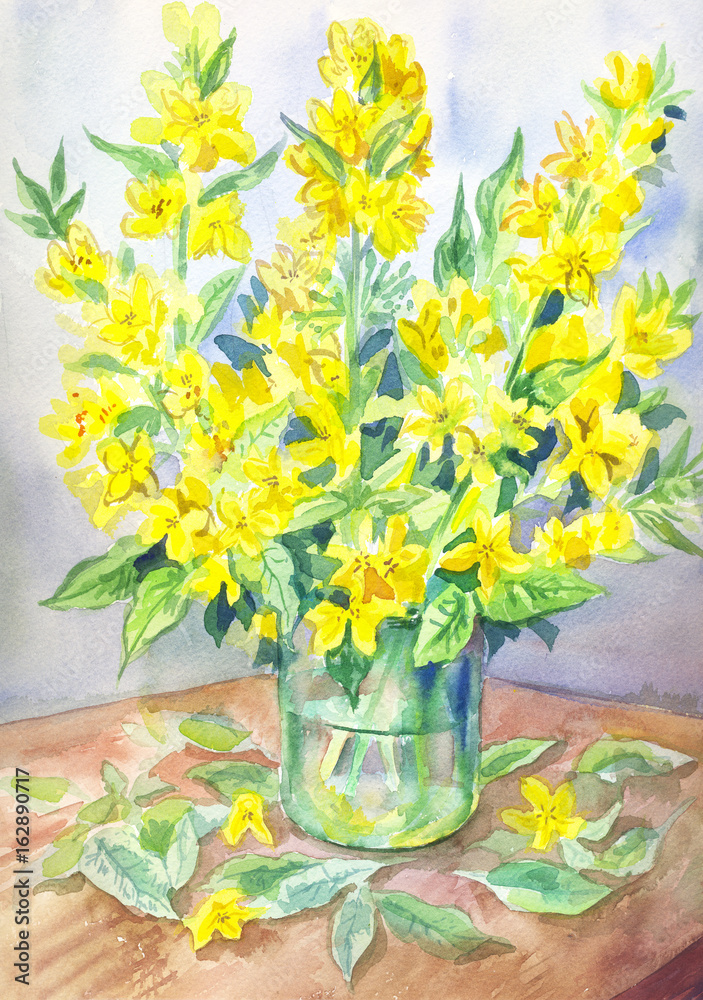 Fototapeta premium Verbena in watercolor