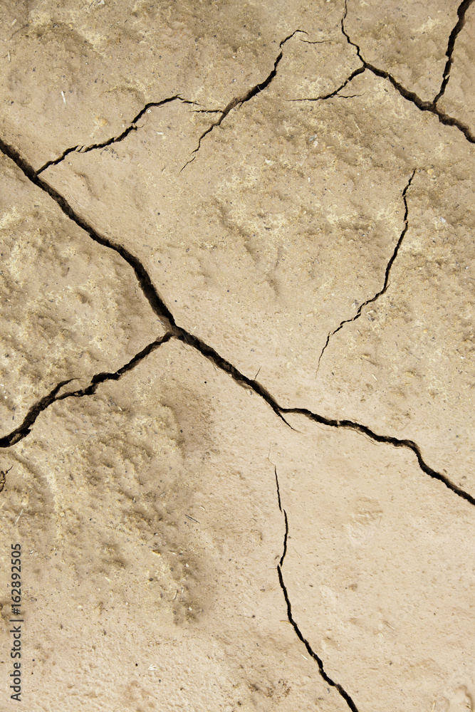 Fototapeta premium Soil cracked by a climatic disaster