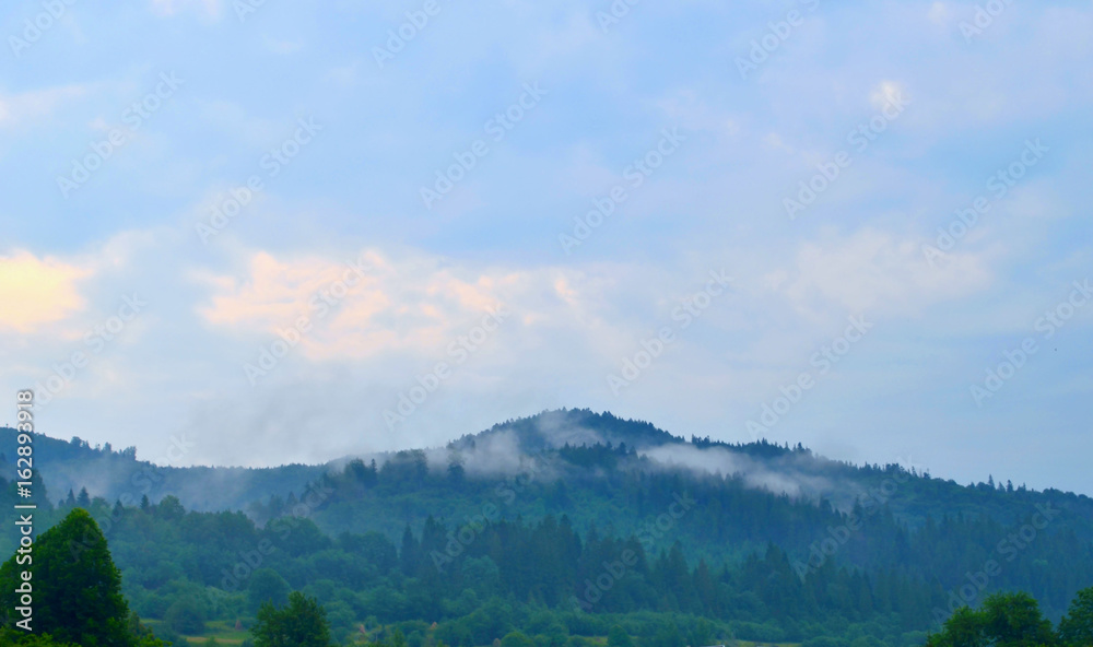 Carpathian mountains and cloudy blue sky. Nature background with mountain silhouettes and forest trees in mist. Travel background. Foggy summer mountain landscape. Ukraine