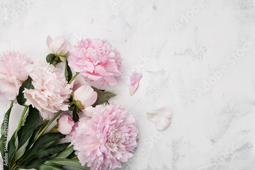 Fototapeta Naklejka Na Ścianę i Meble -  Beautiful pink peony flowers on white stone background with copy space for your text top view and flat lay style.