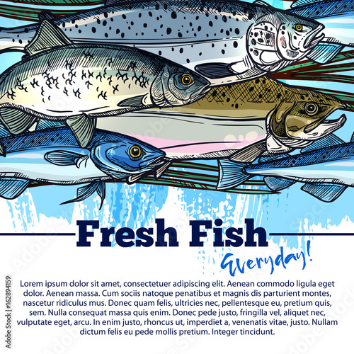 Vector poster for fresh fish or seafood market