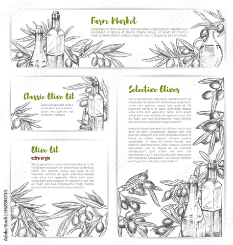 Olive oil market vector sketch banners or posters