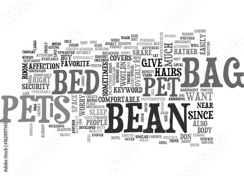 BEAN BAG BED FOR PETS TEXT WORD CLOUD CONCEPT