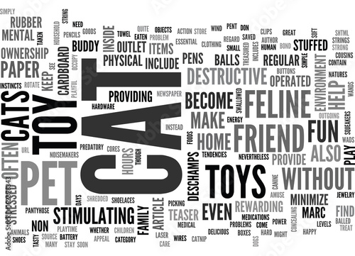 BECOME YOUR FELINE FRIEND S BEST BUDDY WITH A GREAT CAT PET TOY TEXT WORD CLOUD CONCEPT