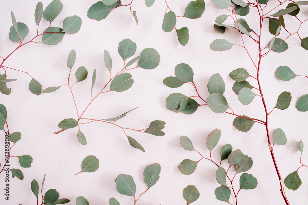 Beautiful eucalyptus branches pattern on pale pastel pink background. Flat lay, top view. Lifestyle composition. Beautiful eucalyptus branches pattern on pale pastel pink background. Flat lay, top view. Lifestyle composition.
