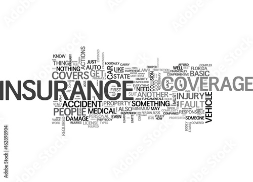 BEGINNER S GUIDE TO AUTO INSURANCE TEXT WORD CLOUD CONCEPT