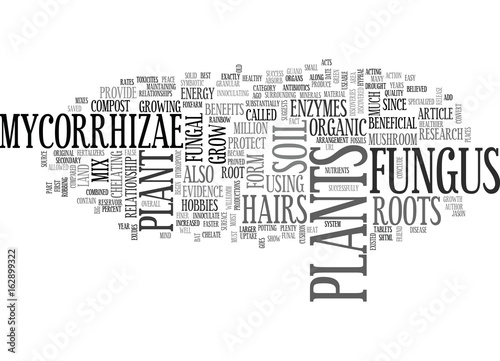BENEFICIAL MYCORRHIZAE YOUR PLANTS BEST FRIEND TEXT WORD CLOUD CONCEPT