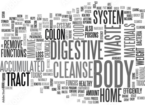 BENEFITS OF THE HOME CLEANSE TEXT WORD CLOUD CONCEPT