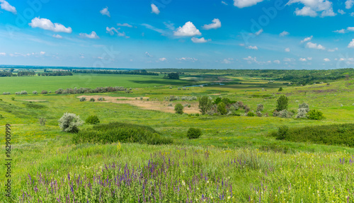 Summer panoramic landscape with fields and water-meadows near Oril river in central Ukraine © Yuri Kravchenko