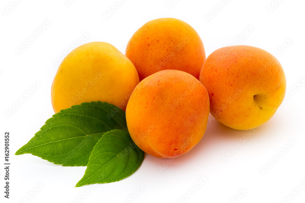 Apricots. Apricots.