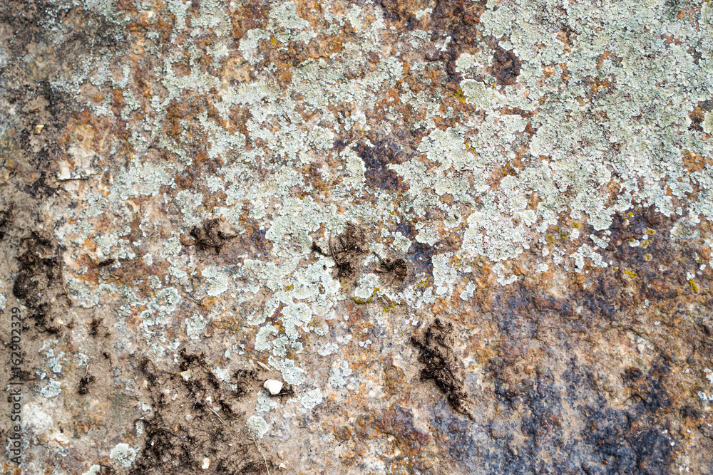 Old texture stone in lichens background natural. Old texture stone in lichens background natural.