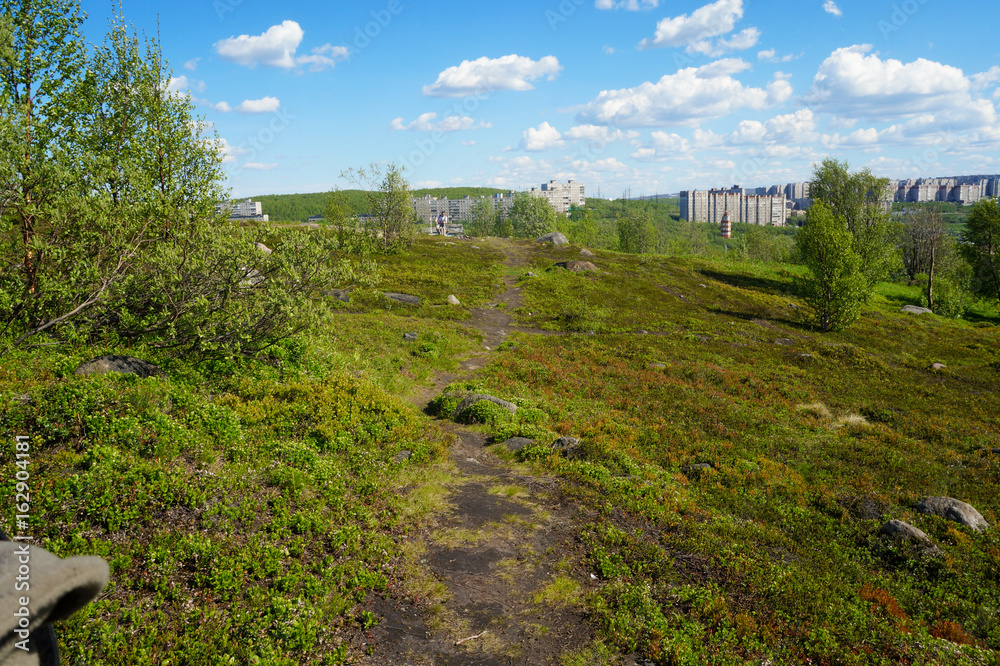 Trails in the tundra near the town, summer in the tundra