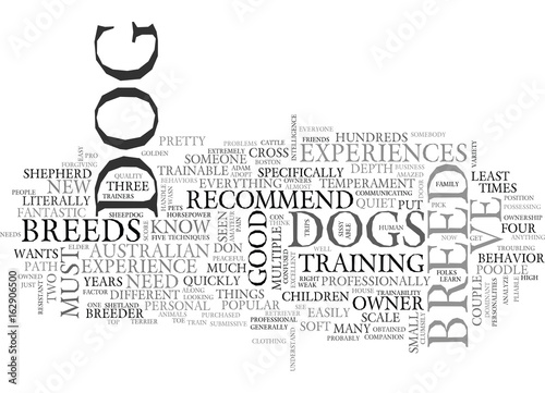WHAT DOG BREED I RECOMMEND TO MY FRIENDS TEXT WORD CLOUD CONCEPT