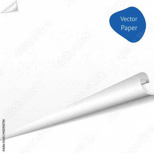Vector background with white paper. Vector illustration of blank twirled paper with bent corner. Top view of textured sheet.