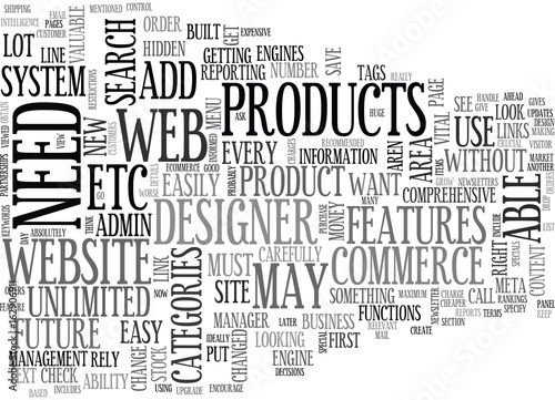 WHAT FEATURES SHOULD YOUR ECOMMERCE WEB SITE HAVE TEXT WORD CLOUD CONCEPT