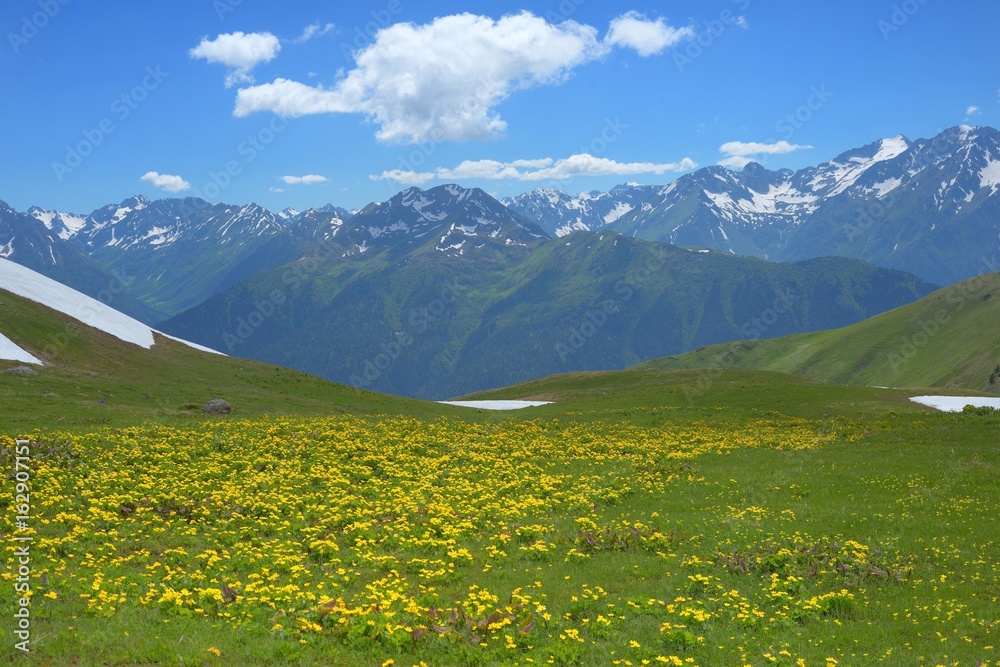 Caucasus in summer