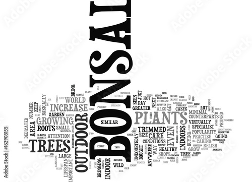 WHAT IS AN OUTDOOR BONSAI TEXT WORD CLOUD CONCEPT