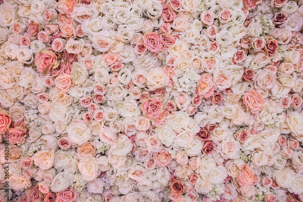 Peach Flower Background