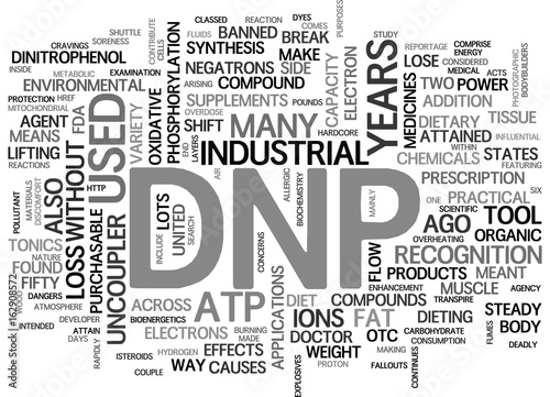 WHAT IS DNP TEXT WORD CLOUD CONCEPT